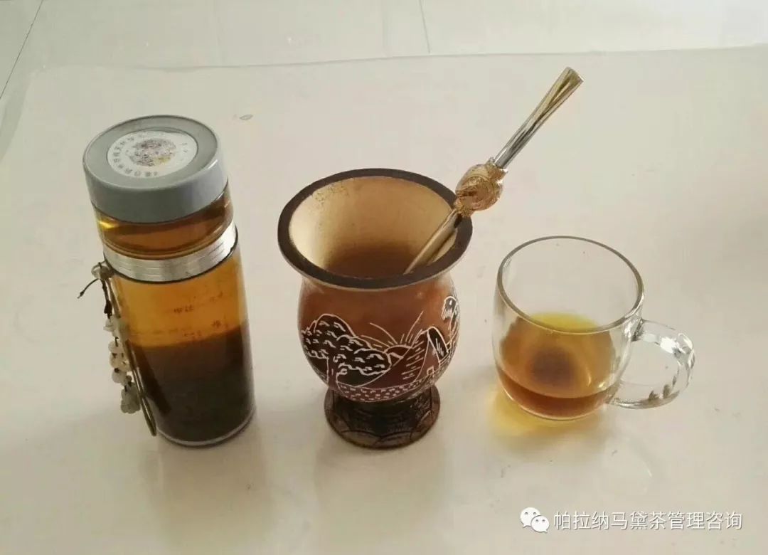 帕拉纳61马黛茶马黛茶渣的妙用