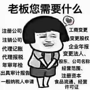 诚恩财税