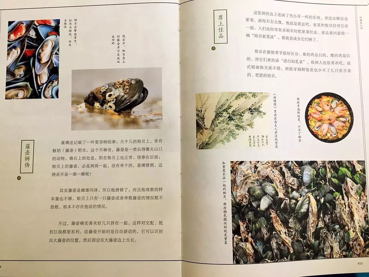 张辰亮说《海错图》里最好认的就是海夫人了,十个人看画,六七个人脱