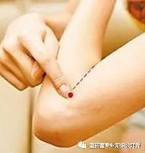 【十二经络】详解(图7)