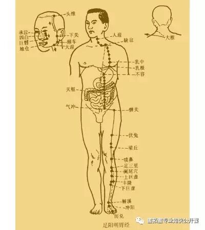 【十二经络】详解(图8)