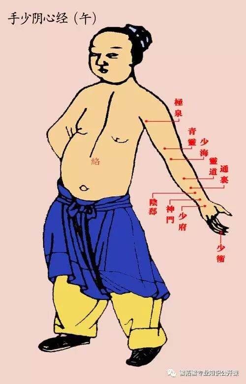 【十二经络】详解(图13)