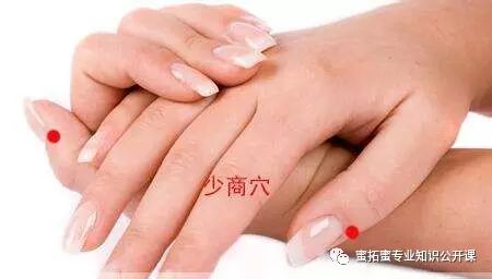 【十二经络】详解(图3)