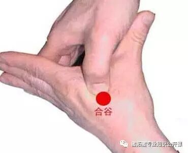 【十二经络】详解(图6)