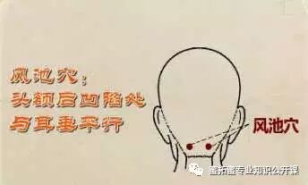 【十二经络】详解(图28)