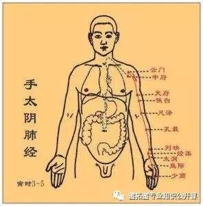 【十二经络】详解(图2)