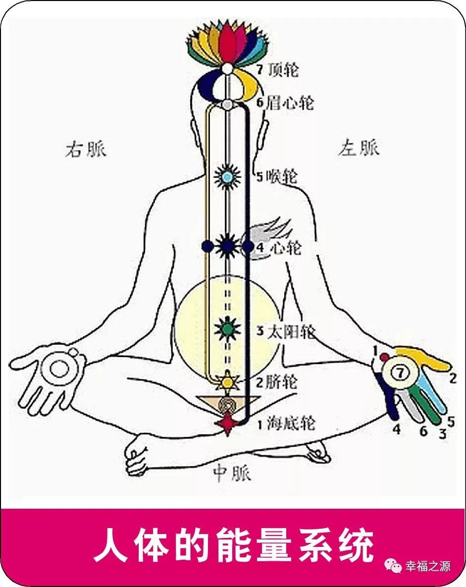 能量的主通道是任督二脉,但我们 人体还有一个在任督二脉中间的中脉