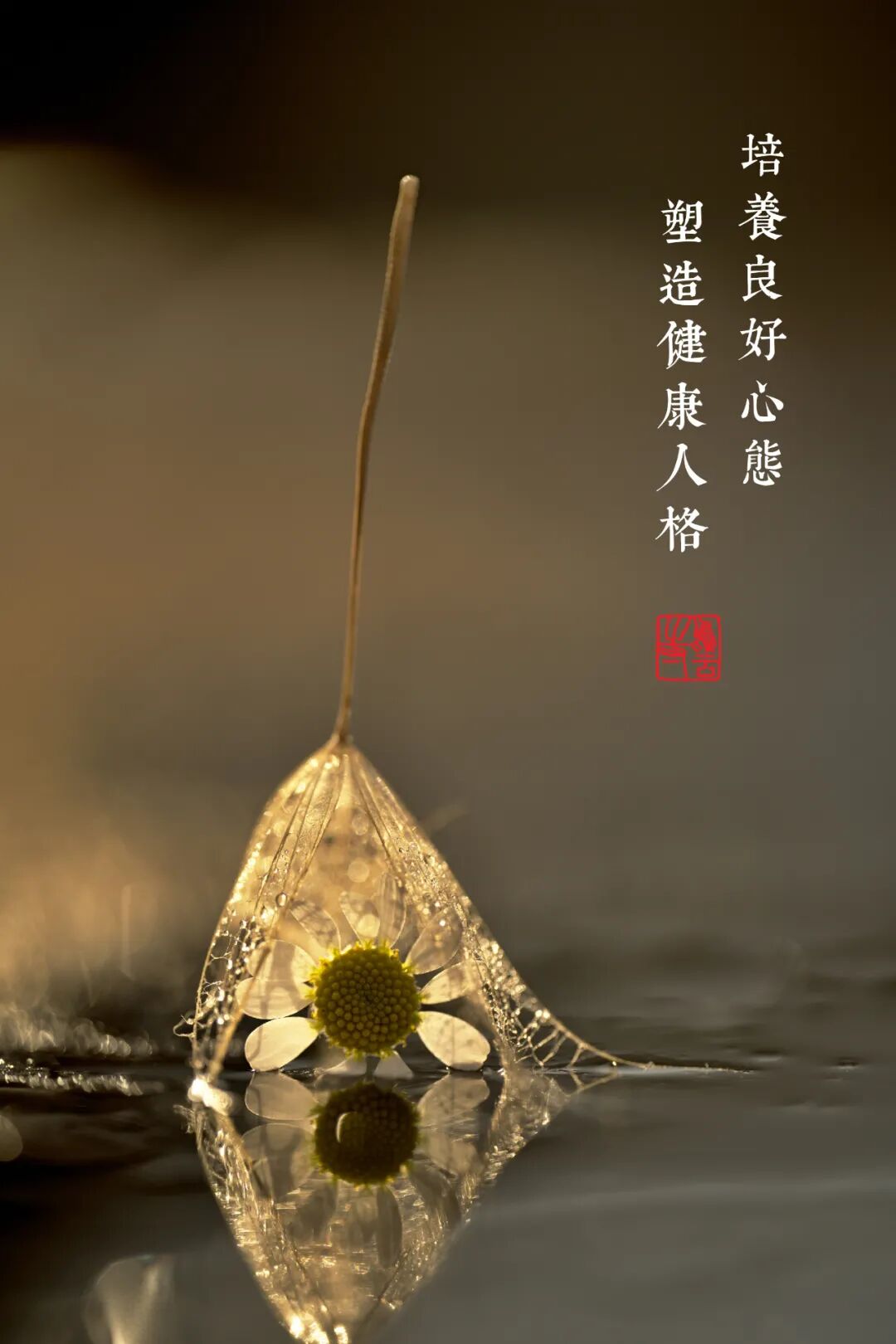 人到了一定年纪，会明白六个道理