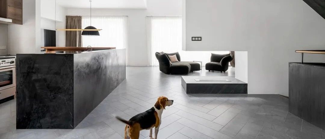 黑白极简，两人一狗的超现代风格别墅。