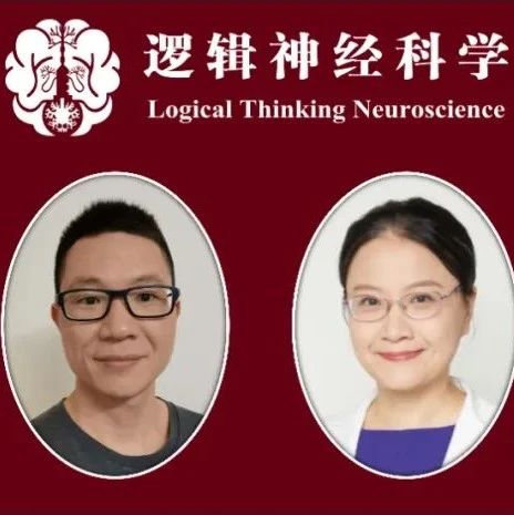 HBM | 冯刚毅/王穗苹团队合作报道 基于大脑功能连接的个体语义能力预测建模
