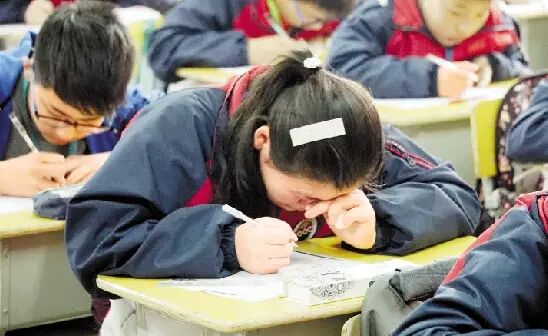 20170505172025_mbvitd6aat.png?v=1762064226373