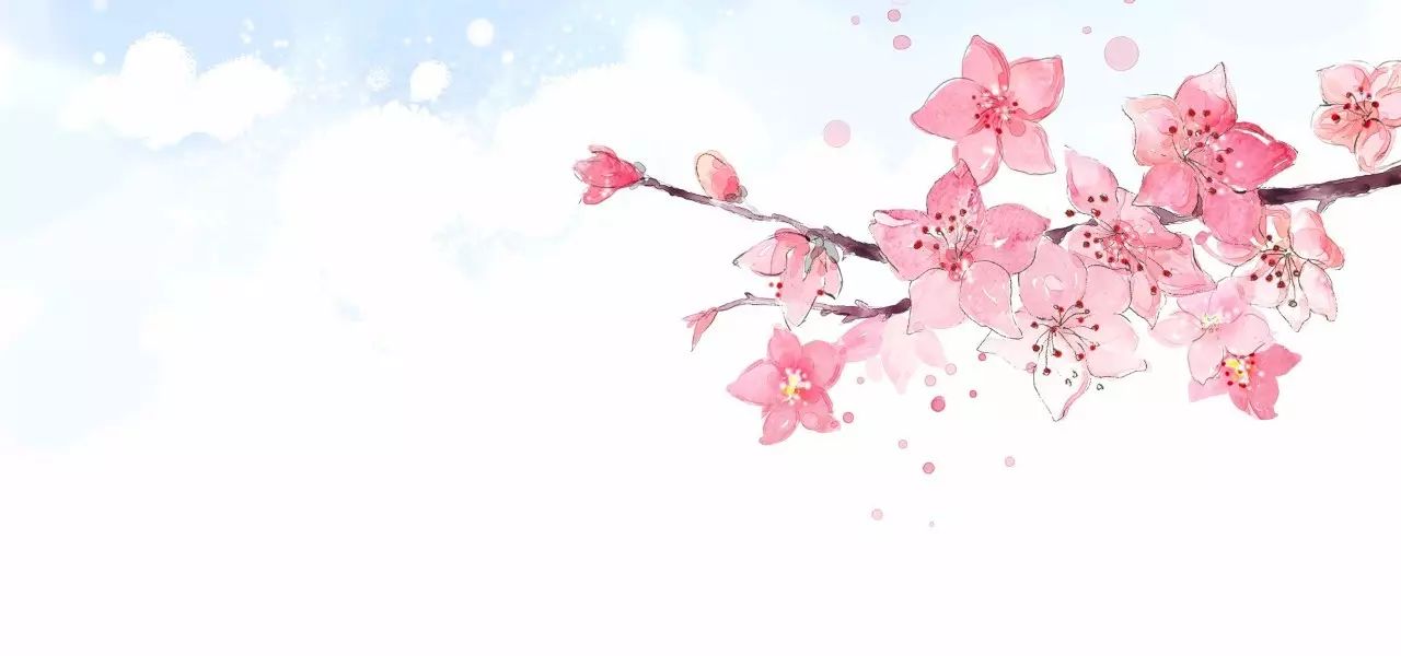 晚安曲 | 一树桃花开