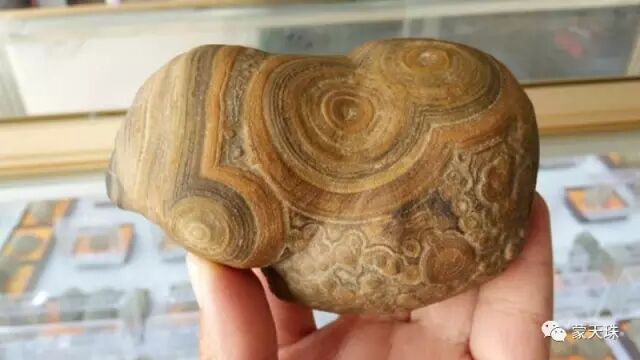 精品蒙天珠何处来？如何选到优质九眼石页岩原石！