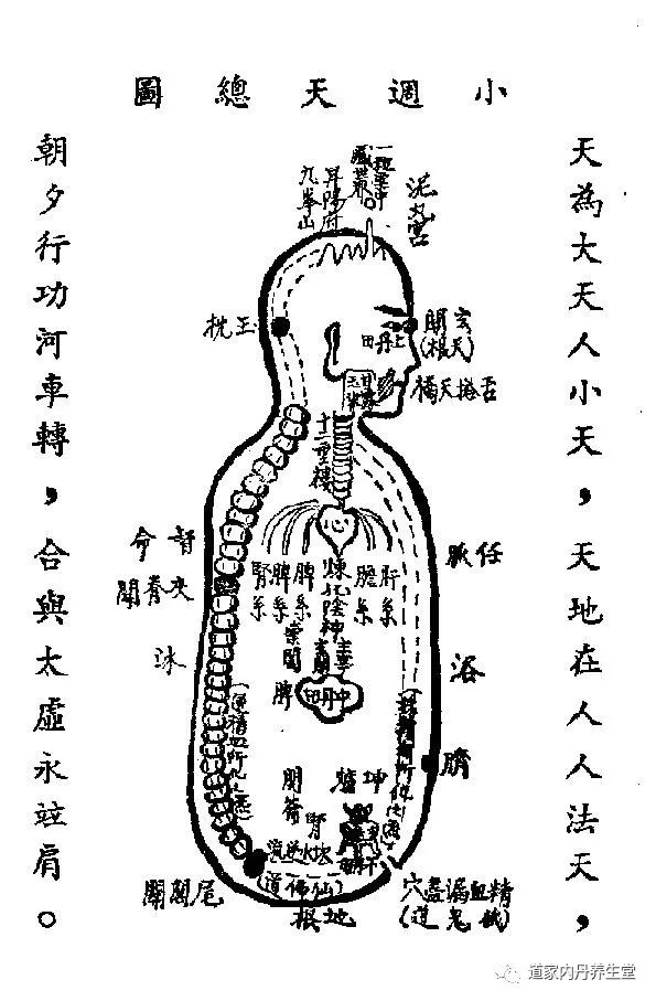 何谓三关九窍和修炼体内精气神有何关系