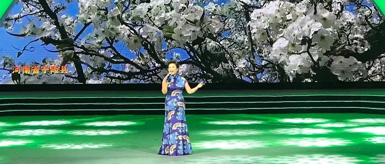 张也,为宁陵唱响《又见梨花》!让我们先听为快!