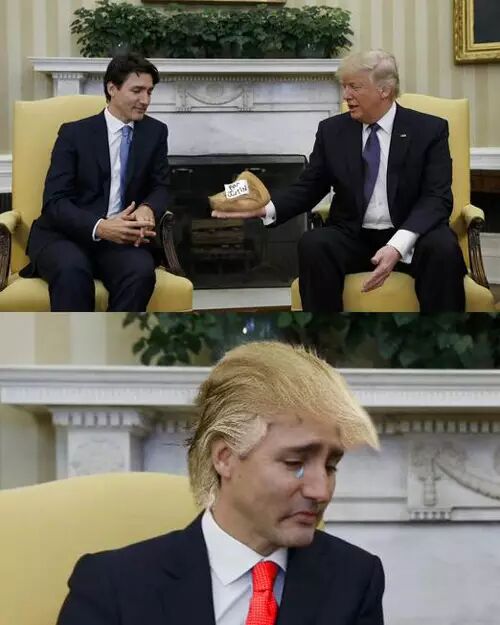 特朗普的握手神功竟然被加拿大帅哥总理化解了！