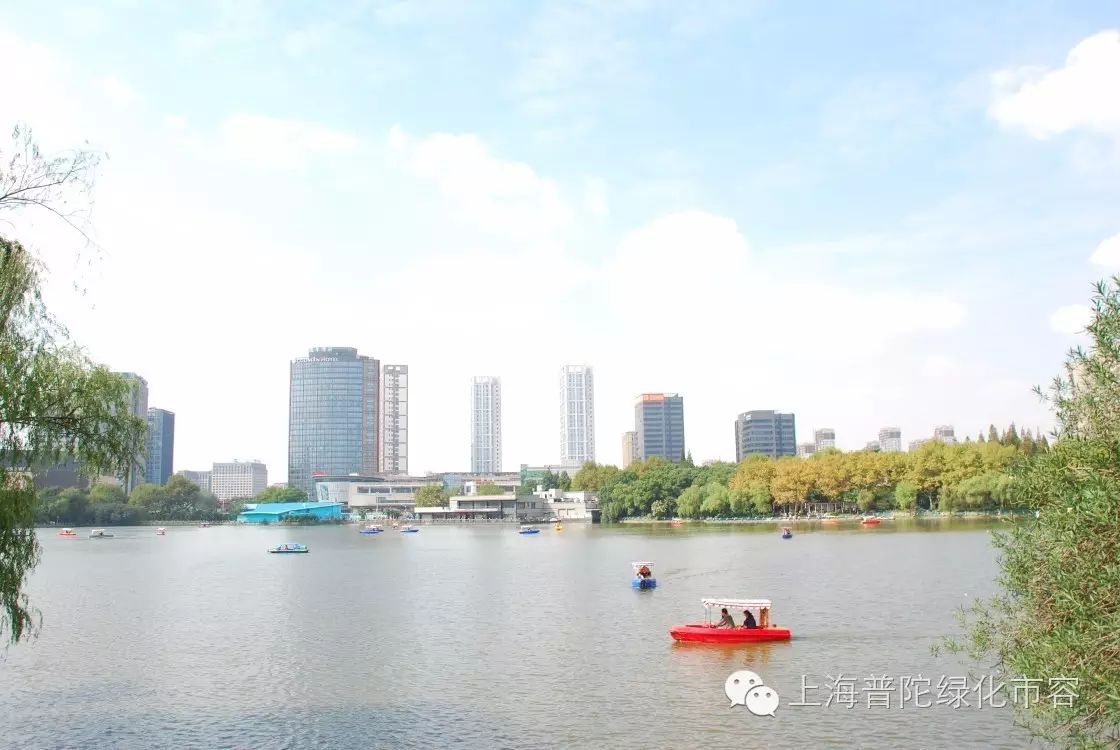 供稿/摄影 肖怡雯历史阅读,即点即读【震撼】铜川路水产市场落幕!