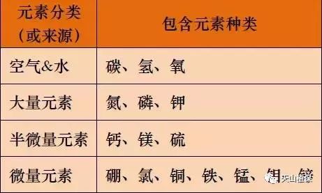 各种微量元素功能及植物缺素诊断海外经典翻译版