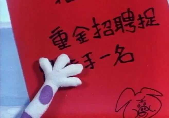 动画片《大盗贼》合集（共8集）⭐亲子电影｜老猪选猫