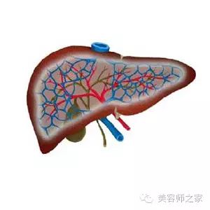 需要排毒的36种人！你中枪了吗？看过才知道