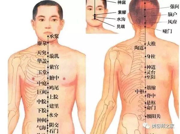 膀胱经，女性最大的排毒通道！