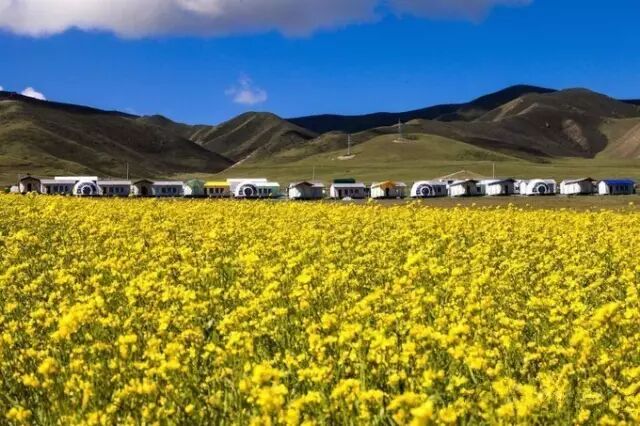 青海湖旅游攻略必去景点大全_青海湖在哪个省哪个市_青海湖在哪