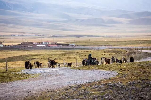青海湖在哪_青海湖在哪个省哪个市_青海湖旅游攻略必去景点大全