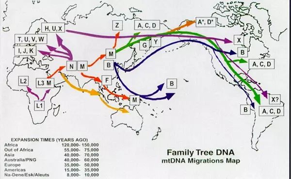 根据线粒体dna推测的人类迁徙图