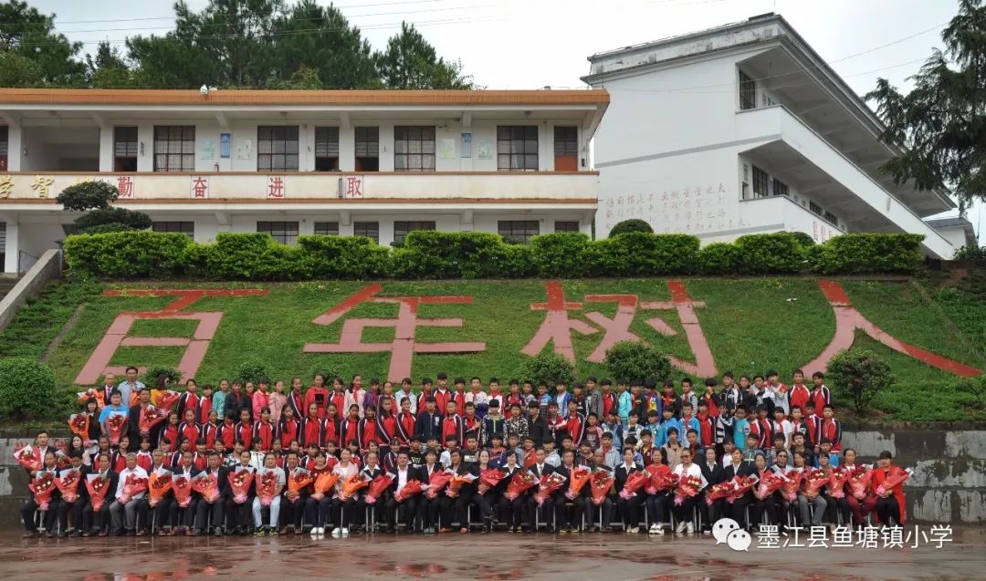 成就教育梦想|墨江县鱼塘镇小学2018年引进人才公告图片