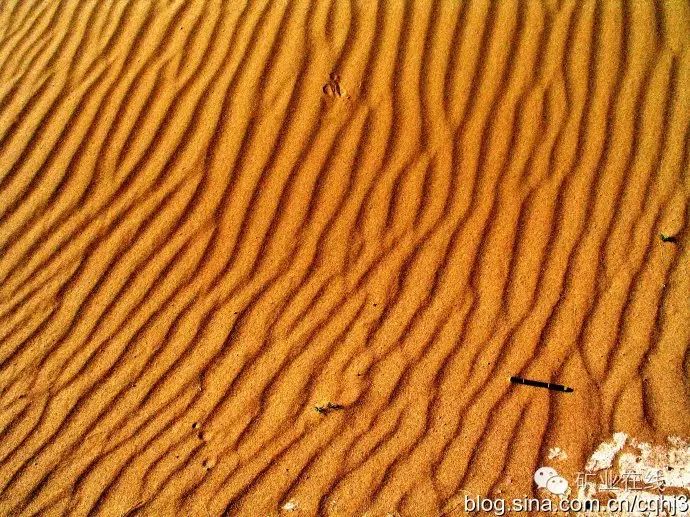 地质图解地质野外地质现象实拍三沉积构造现象