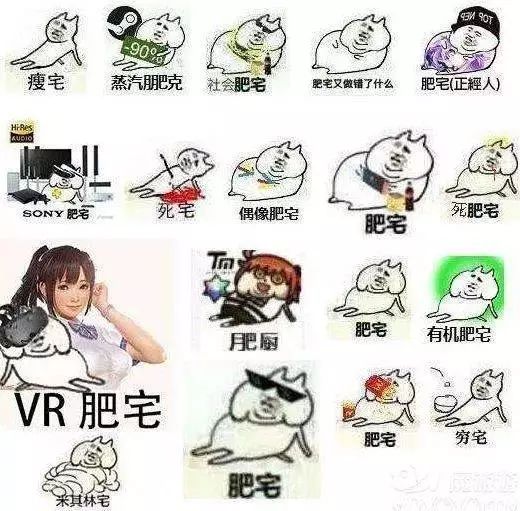 为什么"肥宅真恶心"?
