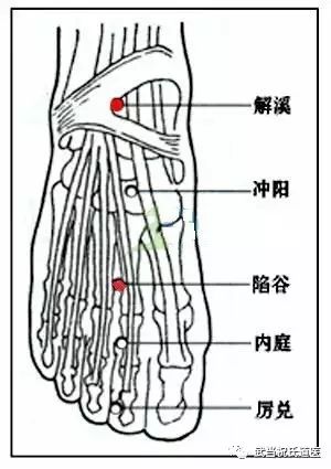武当道医学：天人合一道解胃经陷谷穴第二十
