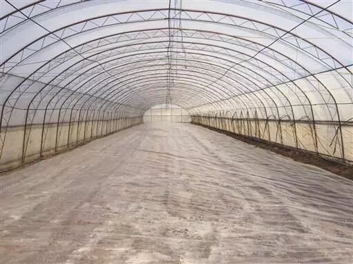 640?wx_fmt=jpeg&tp=webp&wxfrom=5&wx_lazy=1