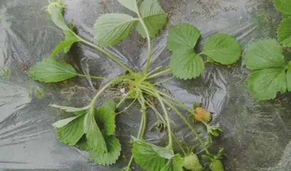 640?wx_fmt=jpeg&tp=webp&wxfrom=5&wx_lazy=1