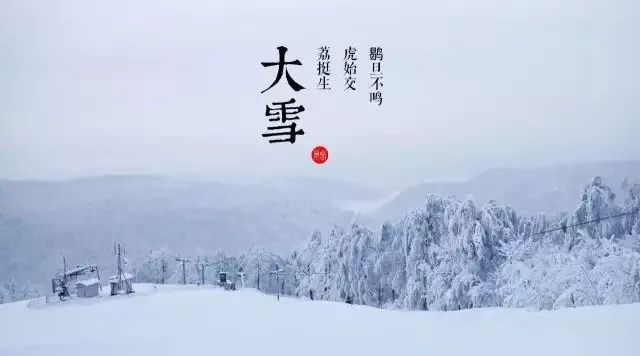 今日大雪,一年“进补”正当时!
