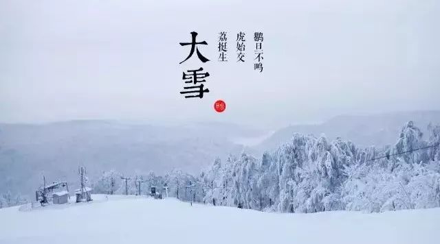 今日大雪,一年“进补”正当时!