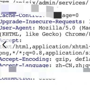 Example Image
