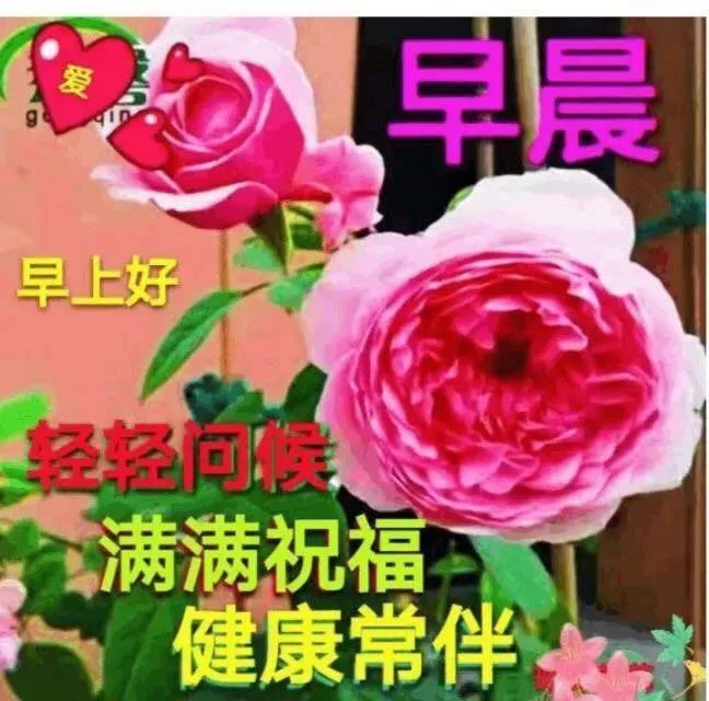 中老年表情包轻轻问候满满祝福健康常伴