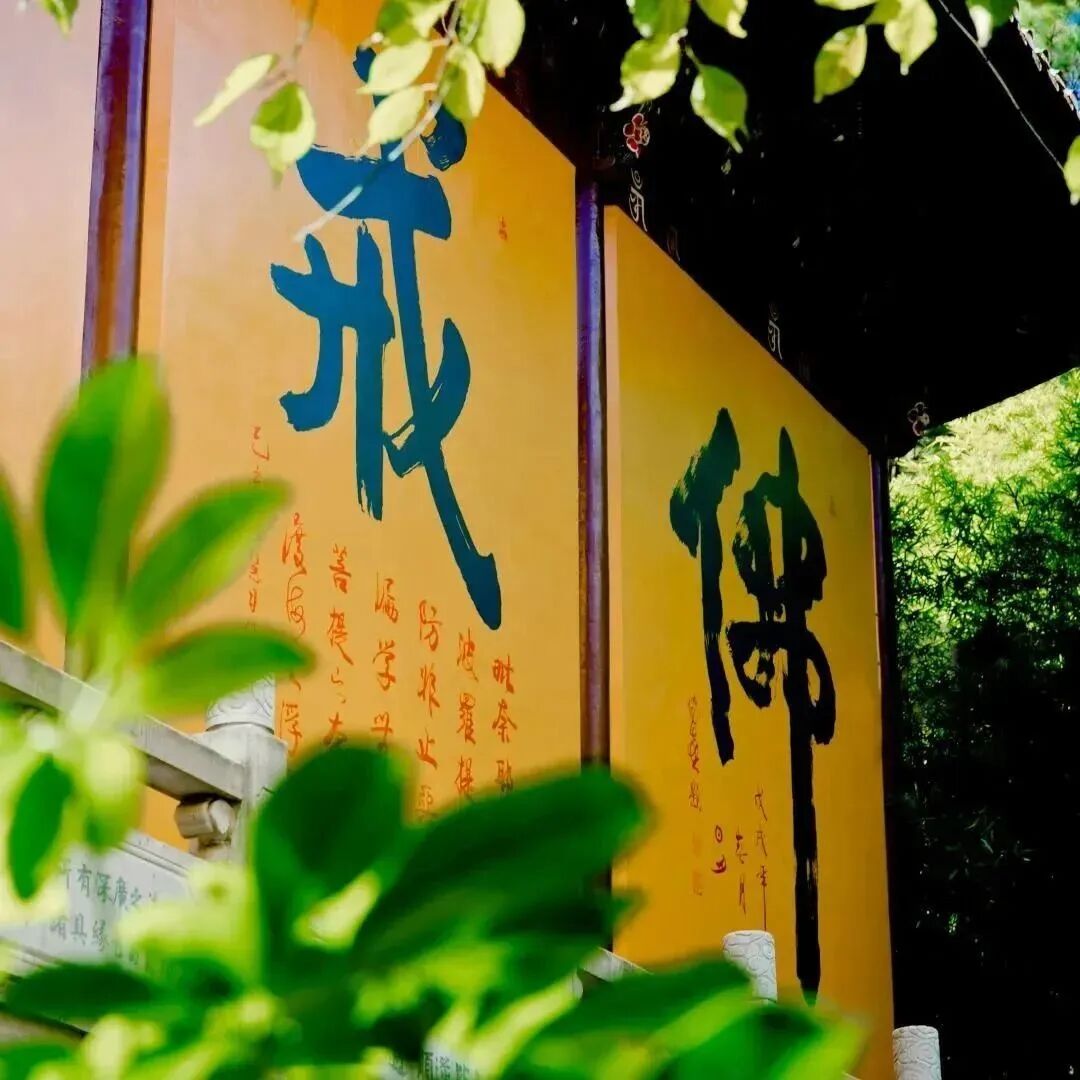 我们为什么要受戒？