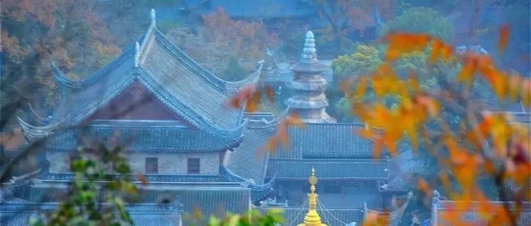 看懂这篇文章，就明白了人该如何立身处世