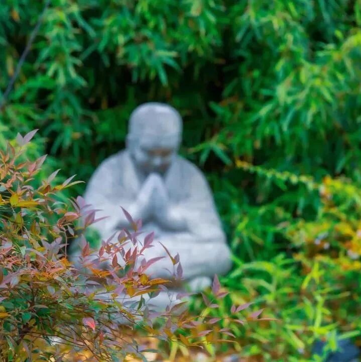 为什么《金刚经》说：一切法皆是佛法？