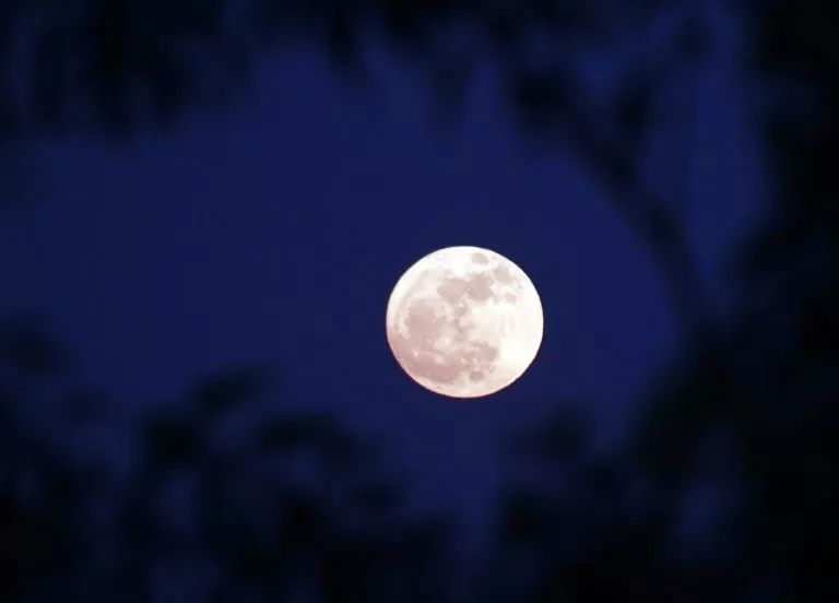 "超级月亮"如约而至 带你看遍全世界月光美景