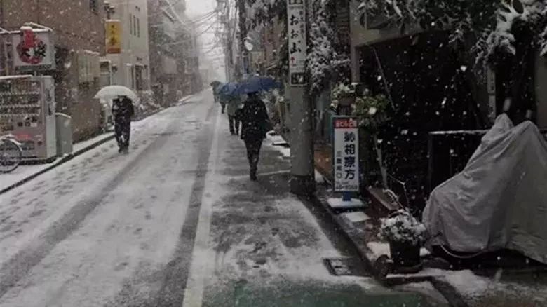 【忘忧妙音】风居住的街道