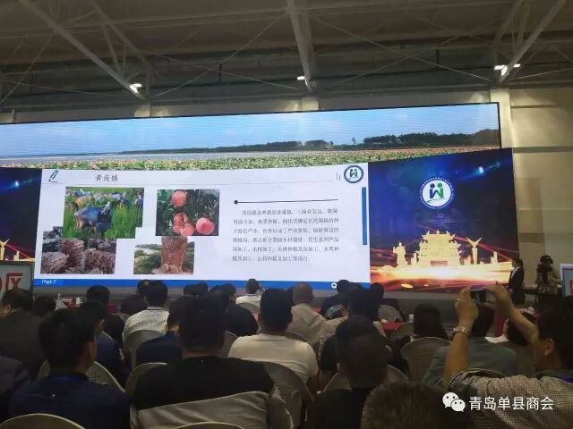 单县招商引资暨万人返乡创业大会圆满闭幕