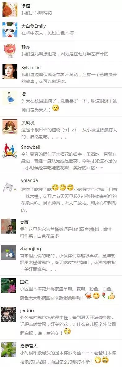 木槿和小木槿的花期_b树 b 树 b-树_木槿树