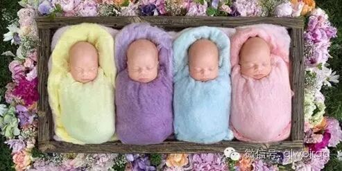 想生二胎,一下来了仨男孩!早产四个月三胞胎全部存活!幸运值Max-怀孕期