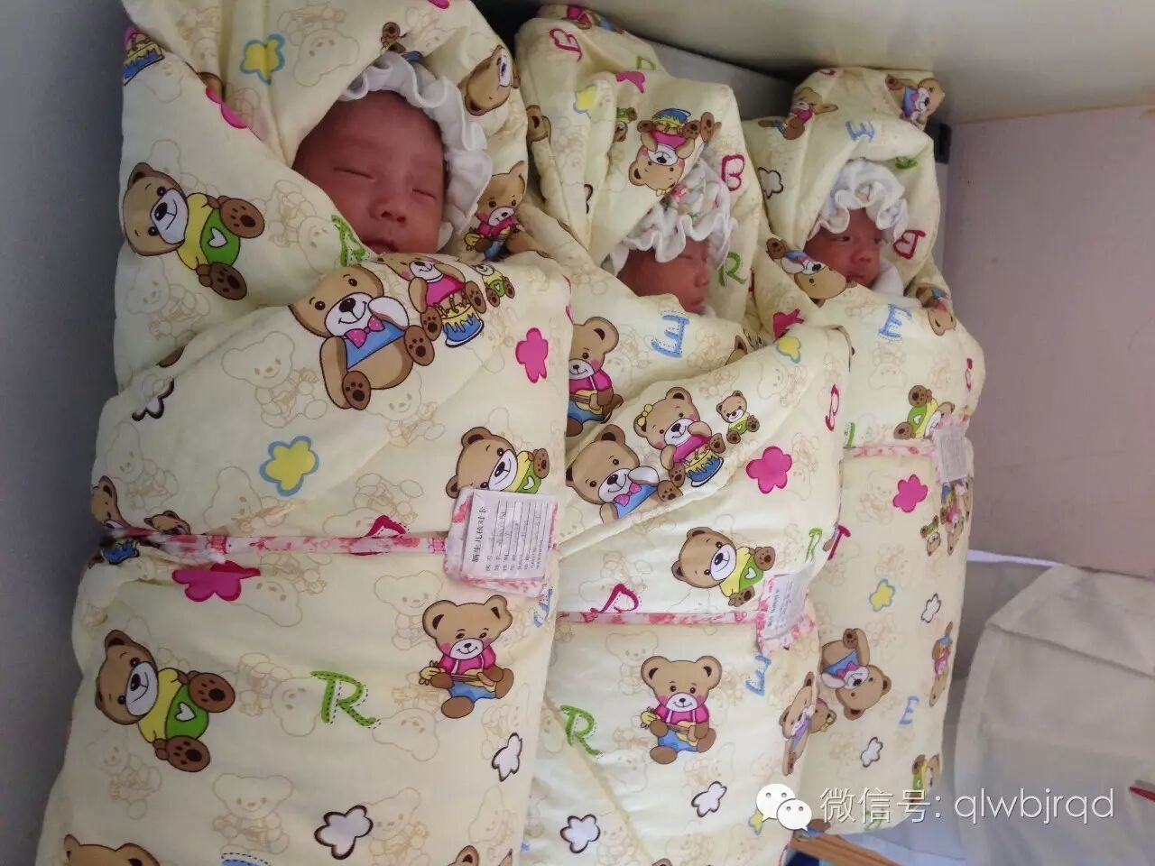 想生二胎,一下来了仨男孩!早产四个月三胞胎全部存活!幸运值Max-怀孕期