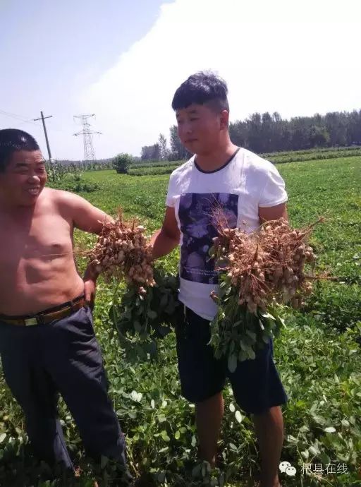 互联网农业创业项目书_农业种植创业项目_镇宁县立秋坡农业有限公司油茶种植项目,下载