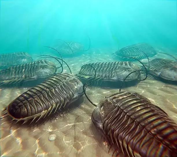 12月18日,海洋浮游生物出现;三叶虫繁荣的时代