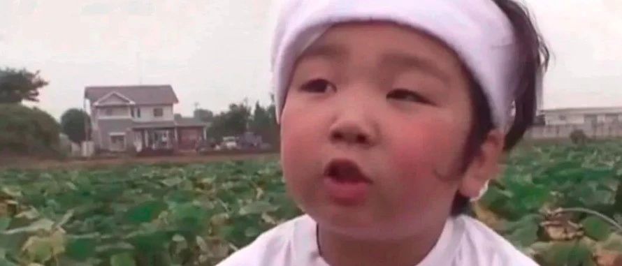 11年前立志成为「第一农民」的6岁小男孩,现在怎么样了?被300万网友围观的他:不会放弃